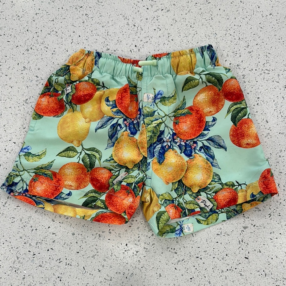 EUC Posh Peanut swim trunks 2T